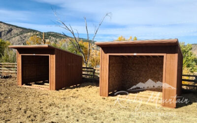 The Lean-To Run-In Shed